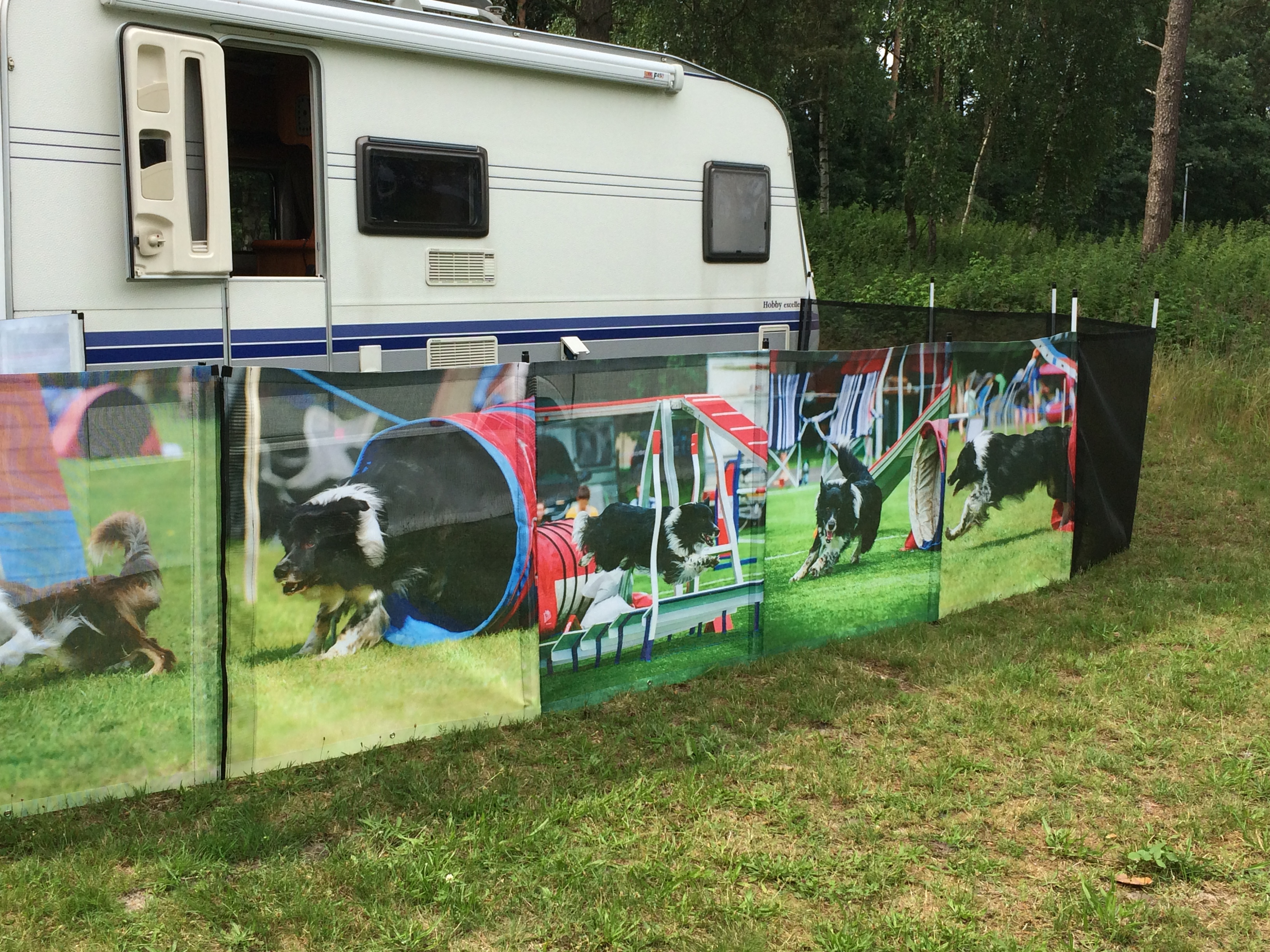 Automotive parts sorter